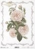 home sweet home, flowers, buds, leaf, leaves, roses, garden, bouquets, ornament, Blumen, Knospen, Blatt, Blätter, Rosen, Garten, Strauss, Sträusse, Ornamente, flores, capullo, brotes, hojas, rosas, jardín, ramo, ramilletes